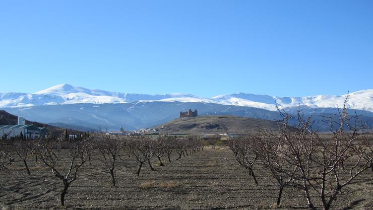 Castillo de La Calahorra
